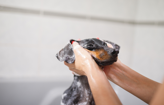 How to select the most worthwhile wipes to get