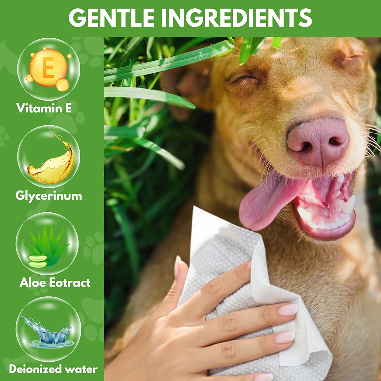 gentle dog wipes